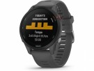 Garmin Forerunner 255 46mm GPS (skifergrå) thumbnail