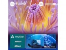 Philips 43