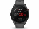 Garmin Forerunner 255 46mm GPS (skifergrå) thumbnail
